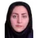 دکتر نسیم برهانی