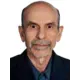 دکتر محمود همامی