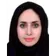 دکتر مولود مقدسی
