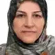 دکتر مولود عباس زاده