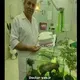 دکتر علی حمزه ئی