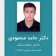دکتر حامد محمودی