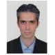 دکتر سیدمحمدحسن وکیل زاده هاتفی