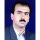 دکتر محمدعلی محمدی مرزونی