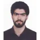 دکتر سیدسینا میری نژاد
