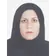 دکتر وحیده سلطانی گردفرامرزی