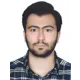 دکتر محمد ذبیحی