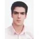 دکتر سعید ستارپورحلوائی