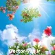 دکتر محمدعلی احمدیان مقدم