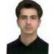 دکتر حمید احمدی صنوبری