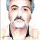 دکتر مجتبی پورلشکری