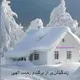 دکتر مهدی محمدیان امیری