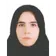 دکتر سیده نیلوفر میرمجیدی